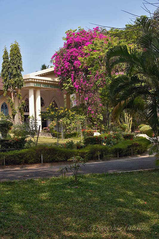 Bishops Residence and Museum