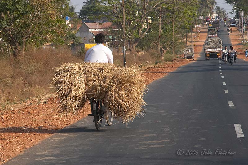 Bicycle Delivery