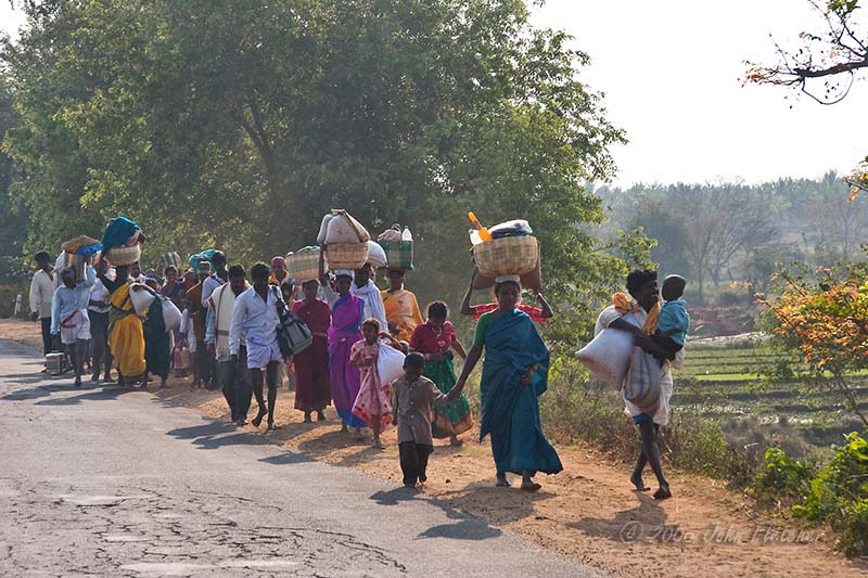 Workers Heading to the Fields