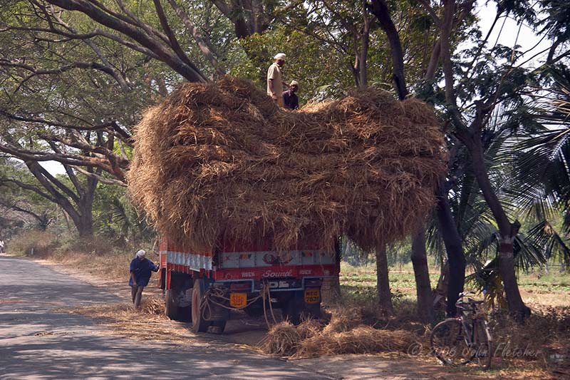 Full Load III