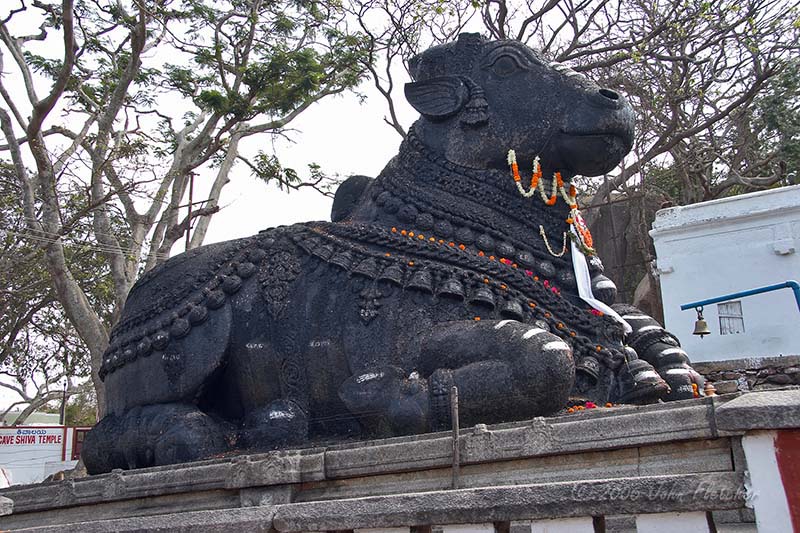 The Worlds Largest Nandi