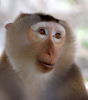 DSC_4460_s.jpg