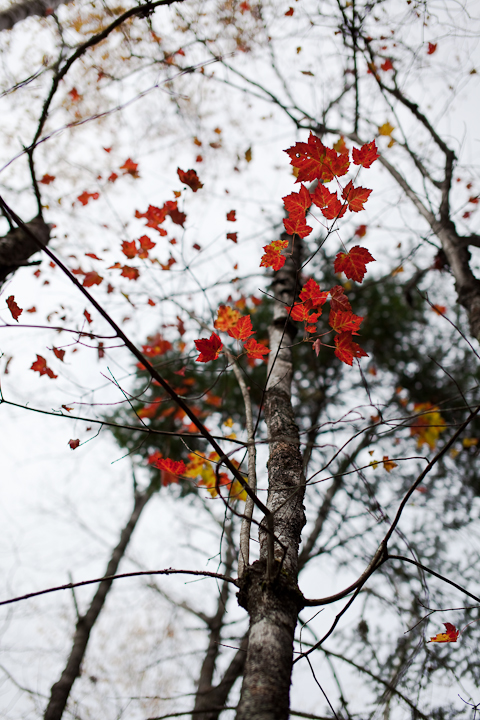 20091017-_MG_3774.jpg