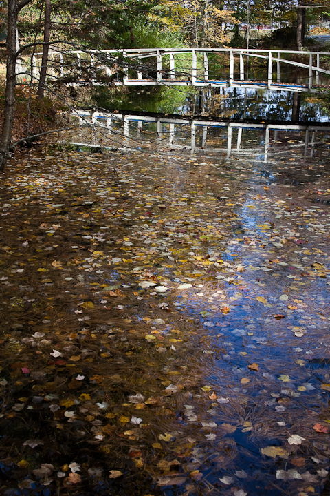 Birdsacre Pond Bridge #1