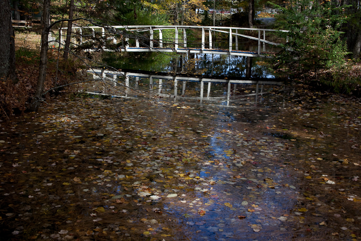 Birdsacre Pond Bridge #2