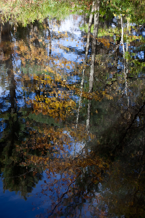 20091017-_MG_3950-2.jpg
