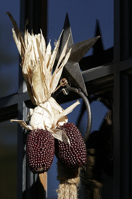 Purple Corn