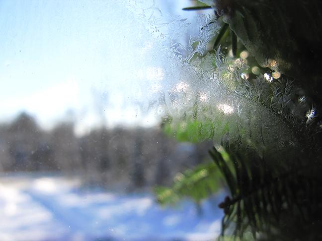 Window Frost, Wreath, Driveway
