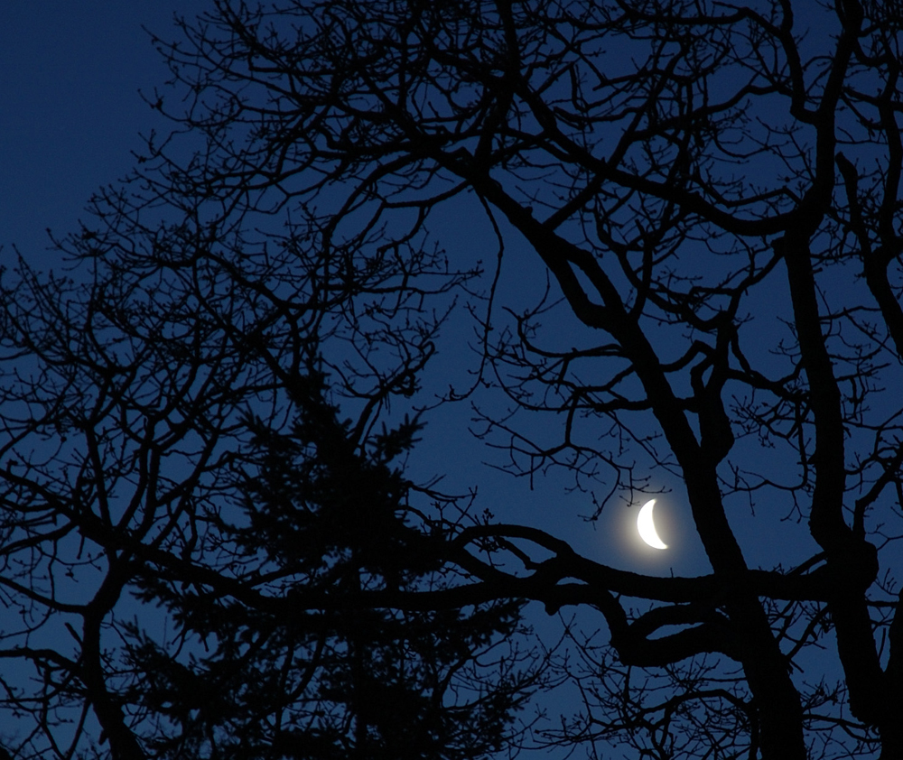 DSC_0074.jpg