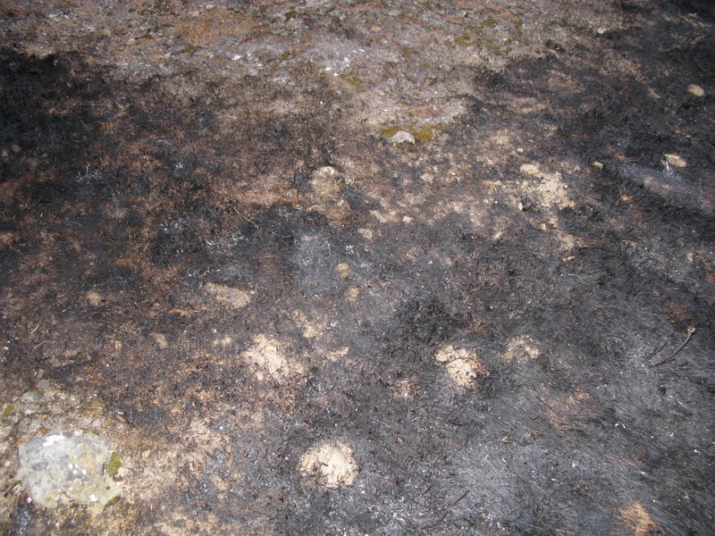 brisbane_fire_62208
