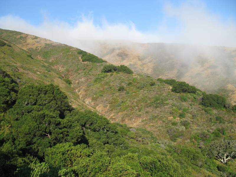 IMG_0065_resize.JPG