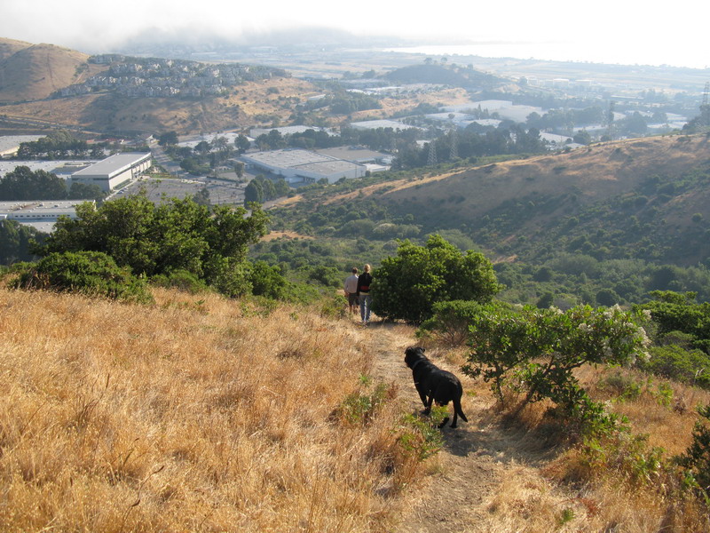IMG_0066_resize.JPG