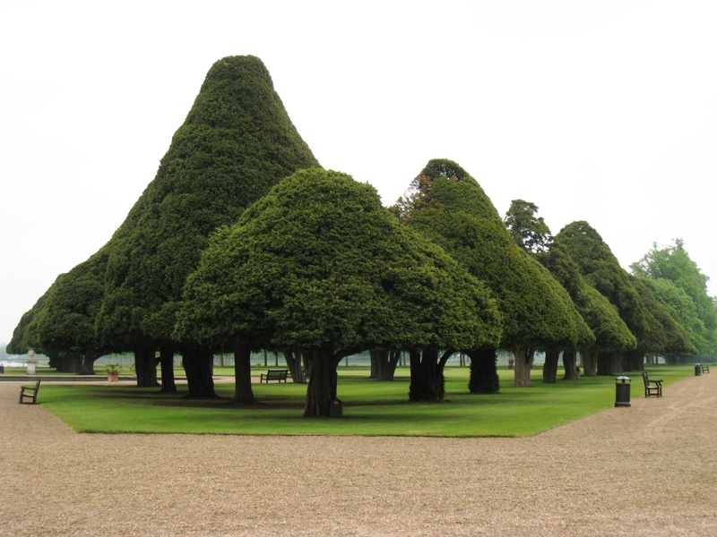 Hampton Court Gardens IMG_9964.JPG