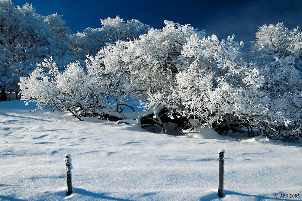 Mount Saleve in winter