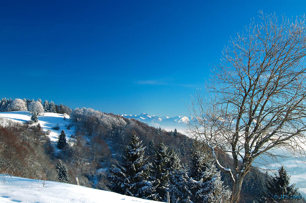 Mount Saleve in winter