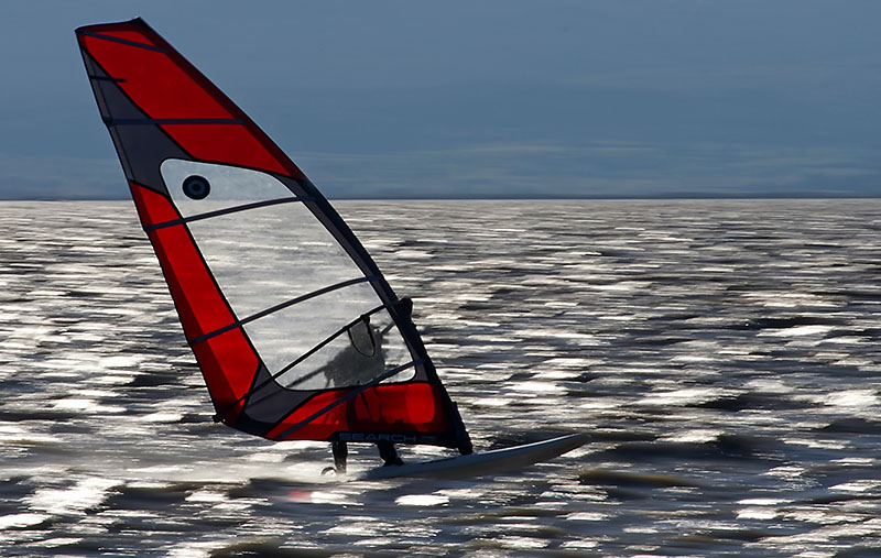 Surfer