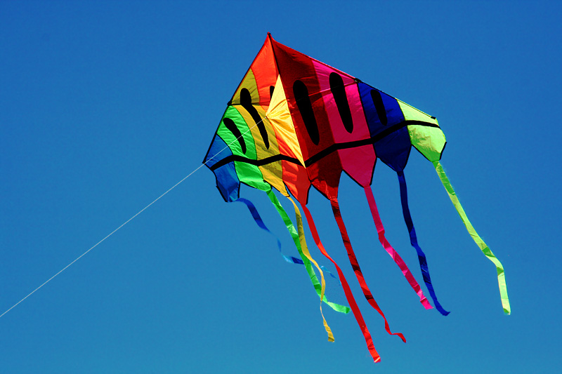 Kite