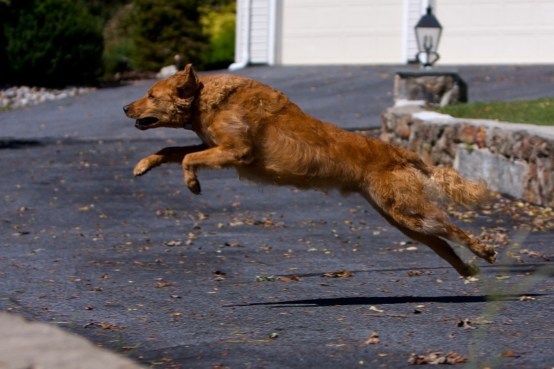 Takeoff