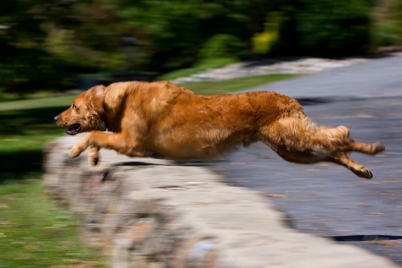 Mid-Flight