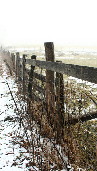 Good fences make good neighbors.
