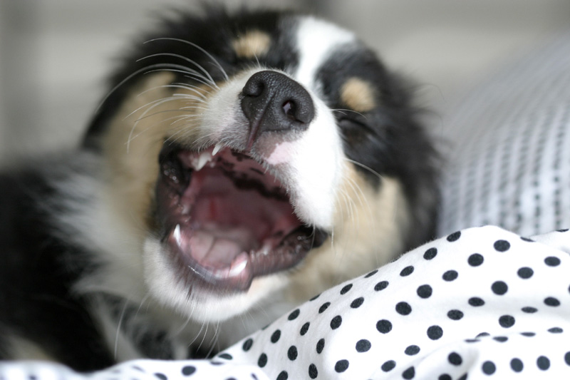 Laughter Is The Best Medicine