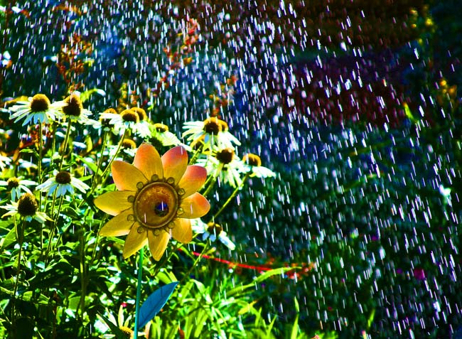 Watering the Garden