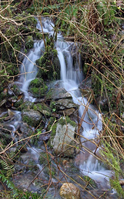 Trickling Stream
