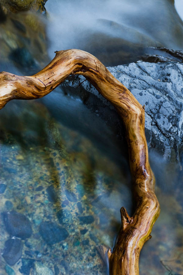 Ney Springs III
