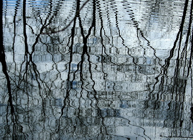 Watery Grid