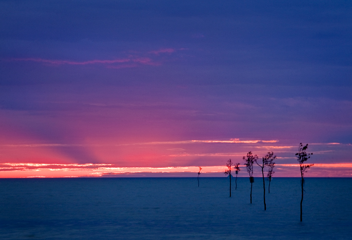 Rocky Point Sunset
