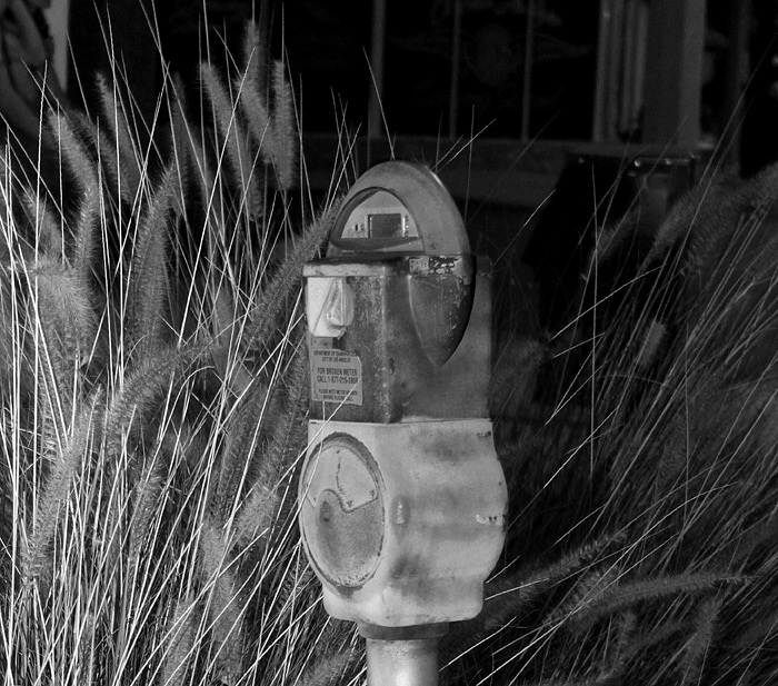 Parking in the Wheat Field