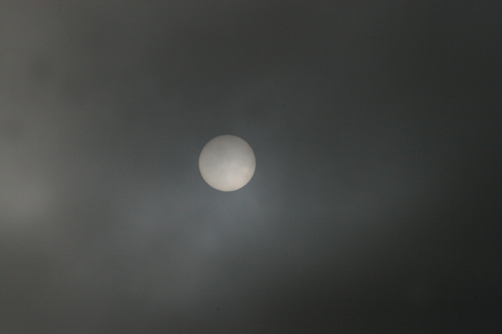 Mid Afternoon Fog*