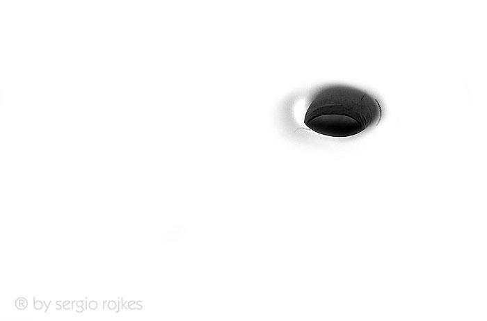 <b>10th Place</b><br><i>the hole</i><br> by sergio rojkes