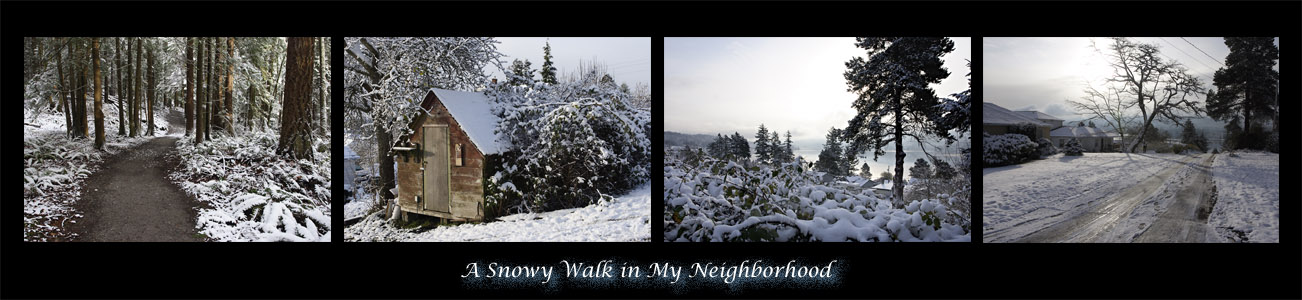 A Snowy Walk in My Neighborhood (*)