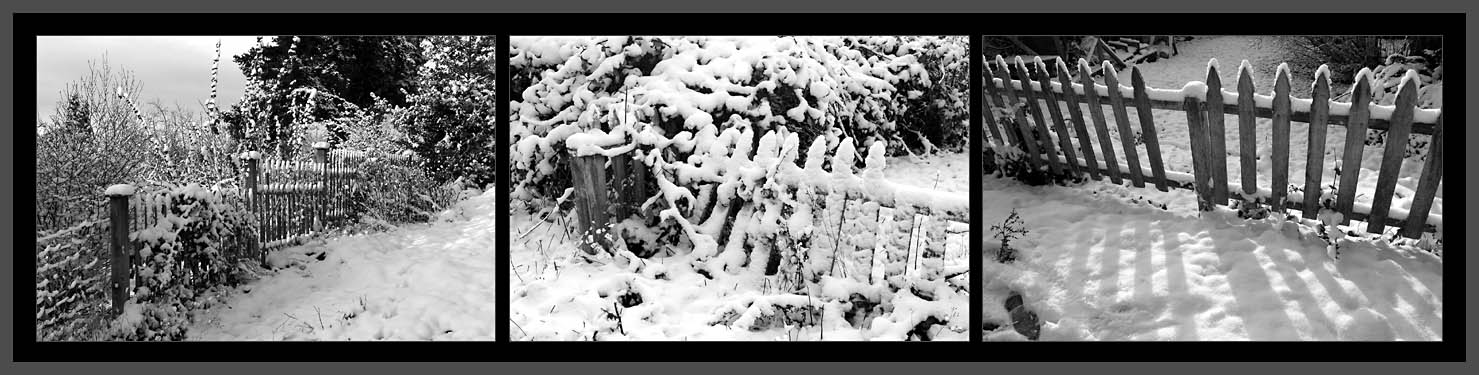 Snow on Fences (*)