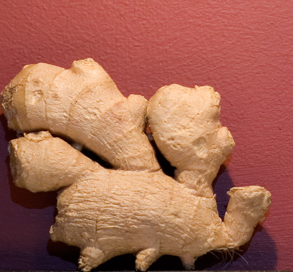 Gingersaurus