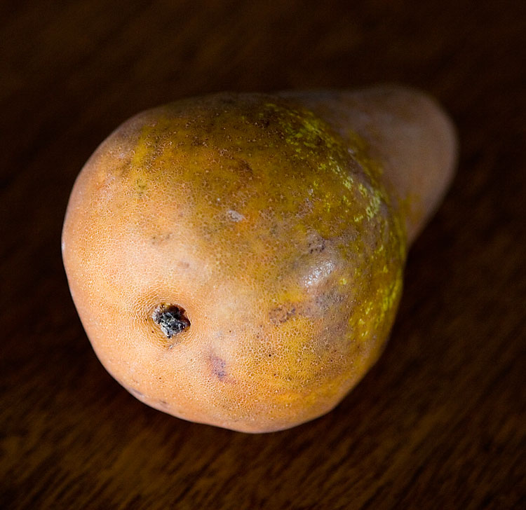 Bosc Pear (*)