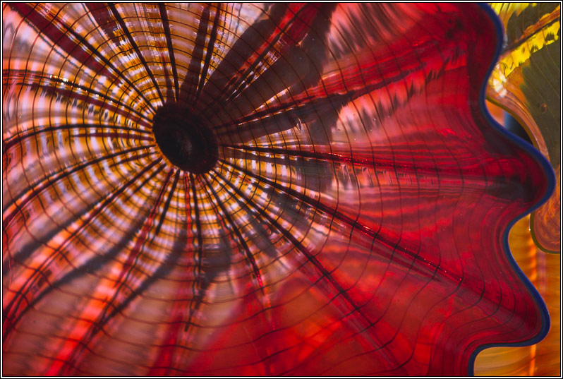 Glass Flower *