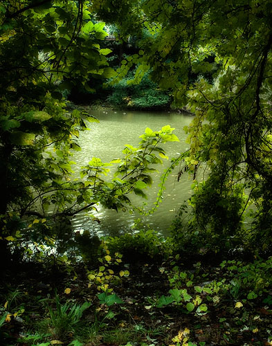 * CrocharonPond