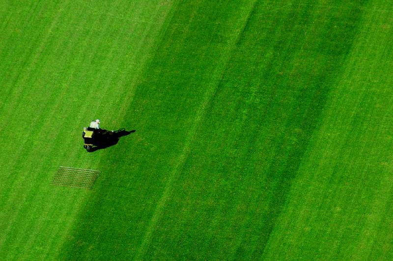 <b>2nd Place</b><br>Combing The Grass *<br>by WizWally