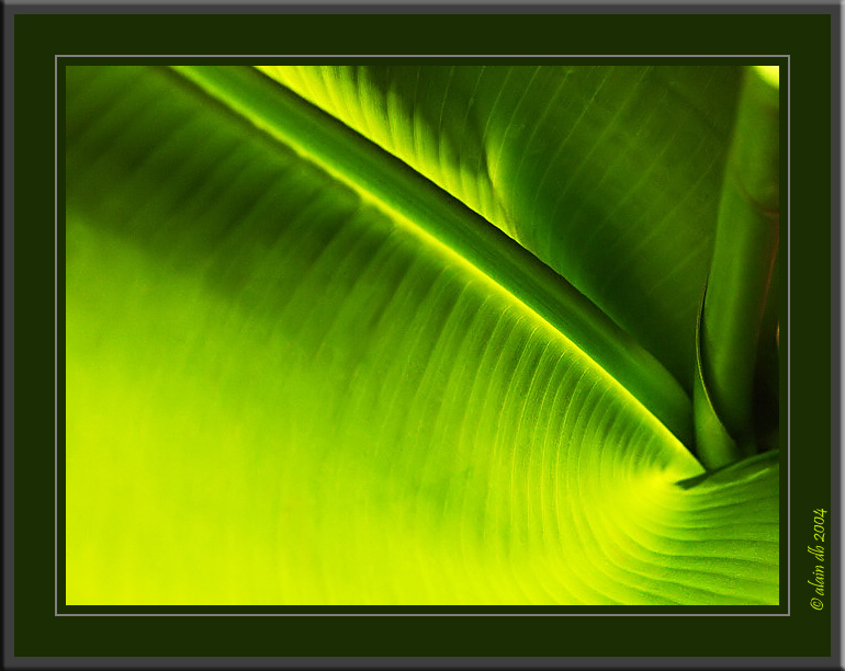 <b>10th Place</b><br>Catch*<br>by alain db