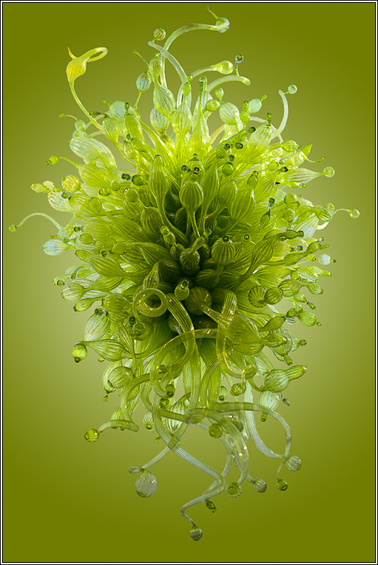 Chihuly Chandelier *