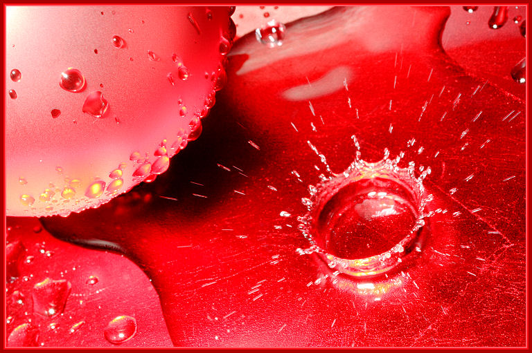 Splash of Red *