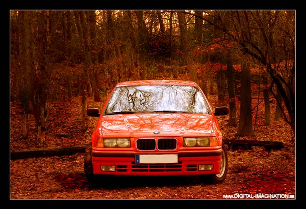 BMWContest.jpg