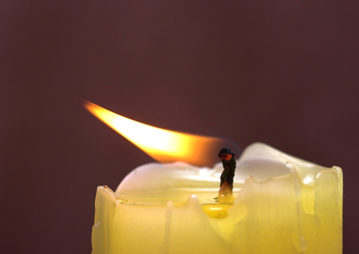 * Candle in the Wind