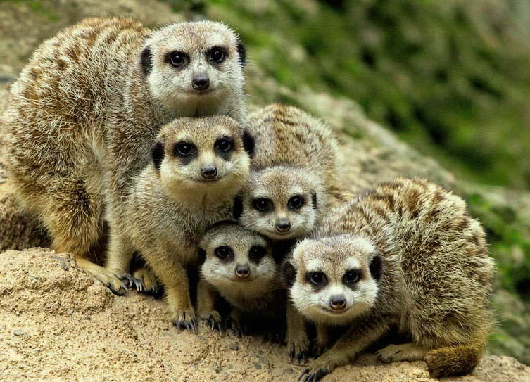 Lets Stick Together