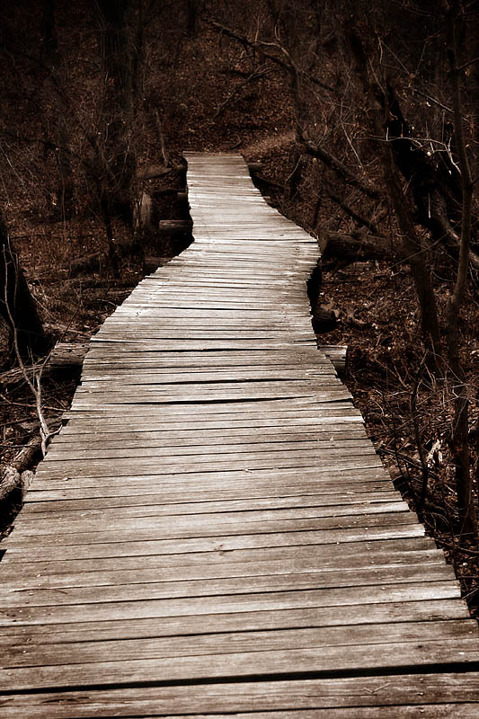 <b>7th Place (tie)</b><br>Road to Nowhere *<br>by Jeannie M. Burleson