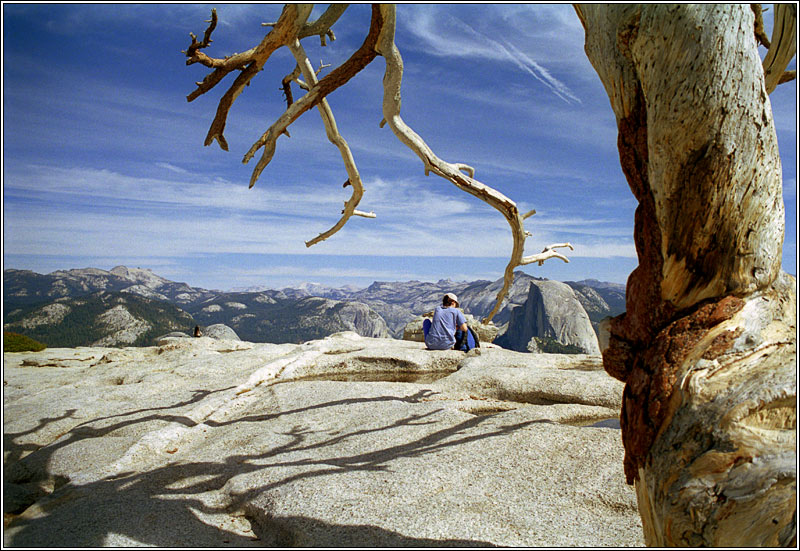 <b>10th Place (tie)</b><br>Top Of The World *<br>by Bob Starling