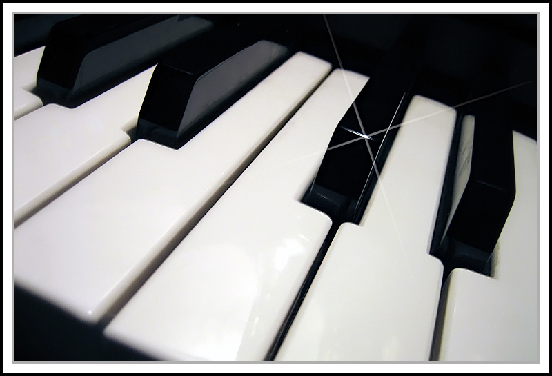 <b>10th Place</b><br>*Piano Man*<br>by Mr. Biscuit