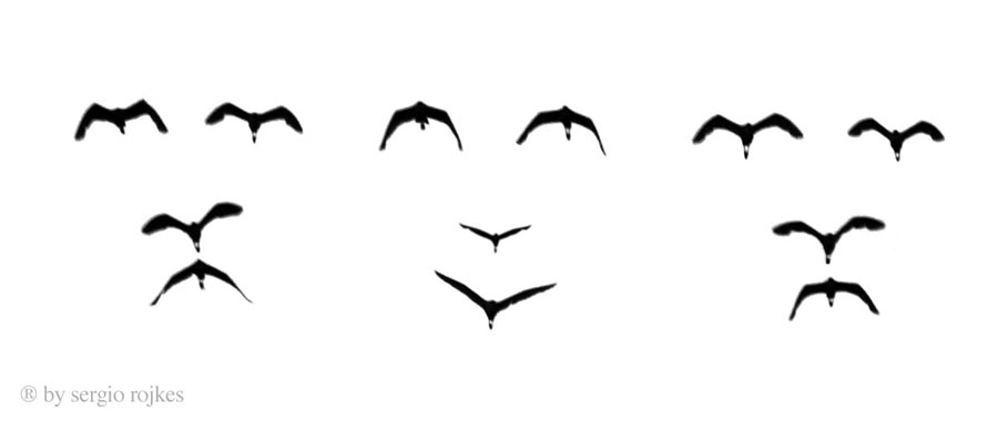 flying expressions